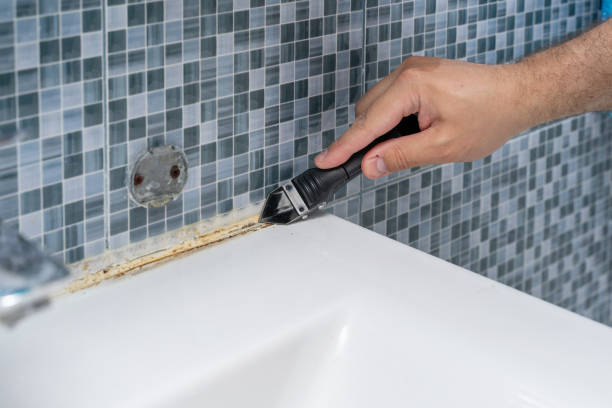 Best Water Damage Restoration  in Fellsmere, FL